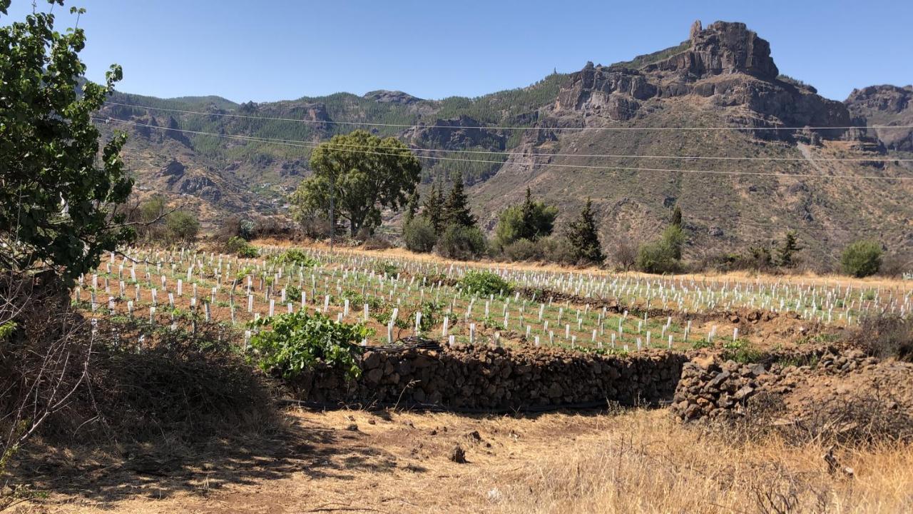 Casa-Finca El Maipez De Tejeda Las Palmas de Gran Canaria Eksteriør bilde