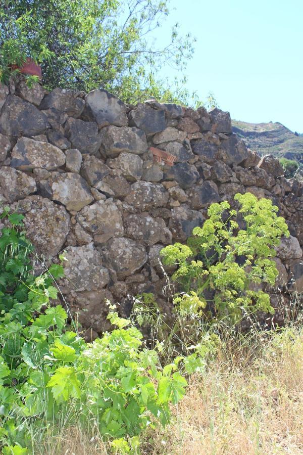 Casa-Finca El Maipez De Tejeda Las Palmas de Gran Canaria Eksteriør bilde