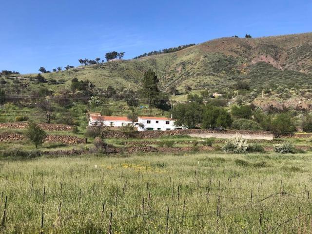 Casa-Finca El Maipez De Tejeda Las Palmas de Gran Canaria Eksteriør bilde