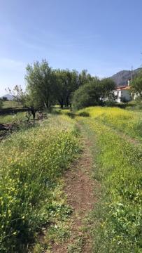 Casa-Finca El Maipez De Tejeda Las Palmas de Gran Canaria Eksteriør bilde