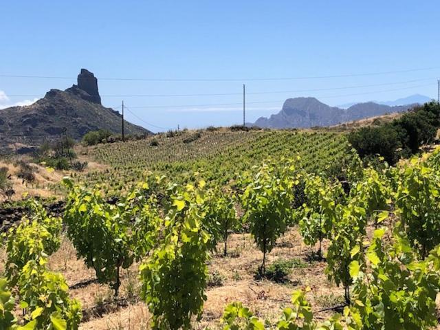 Casa-Finca El Maipez De Tejeda Las Palmas de Gran Canaria Eksteriør bilde