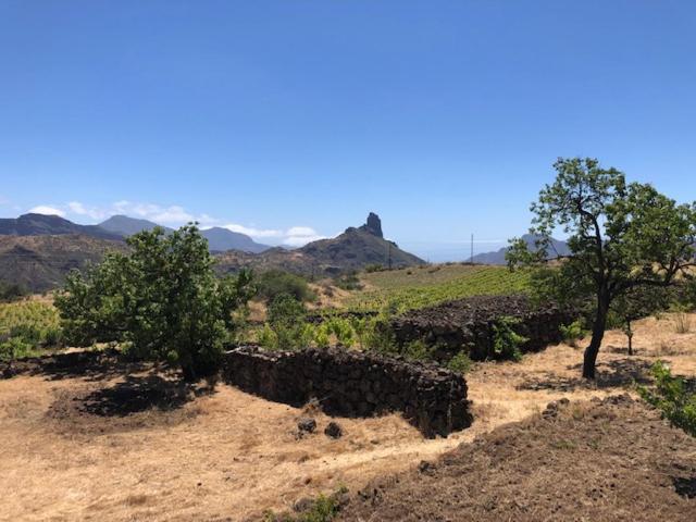 Casa-Finca El Maipez De Tejeda Las Palmas de Gran Canaria Eksteriør bilde
