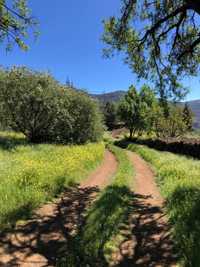 Casa-Finca El Maipez De Tejeda Las Palmas de Gran Canaria Eksteriør bilde
